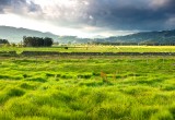 Espace rural petites et moyennes collectivités et gouvernance mondiale