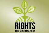Reforming global sustainable development governance: a rights-based agenda