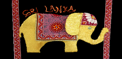 National Road To Rio+20 Campaign Sri Lanka